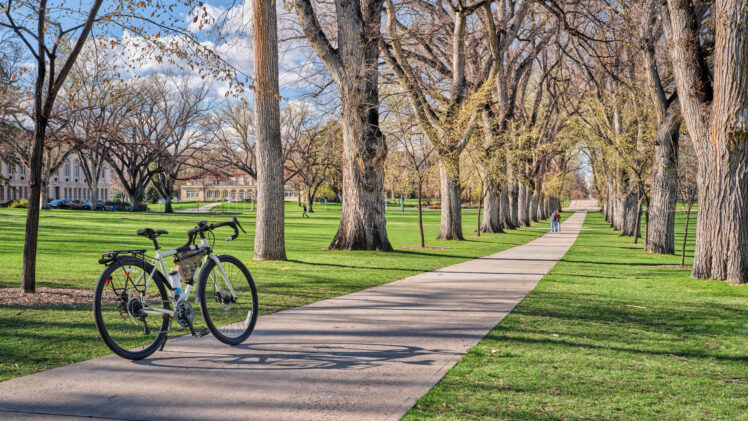 image of a bicycle on a campus bike path